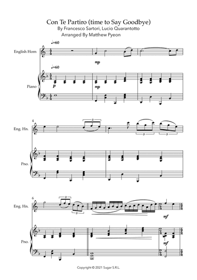 Con Te Partiro (time To Say Goodbye)