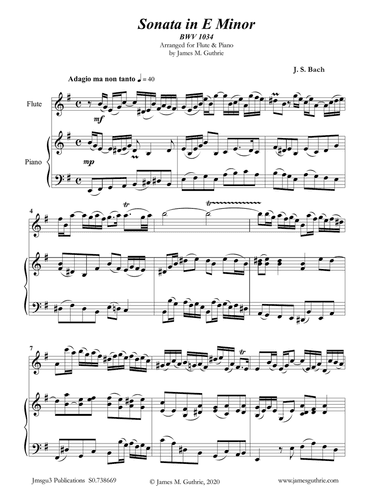 BACH: Sonata in E Minor BWV 1034 for Flute & Piano