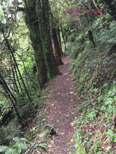 Near The Cross