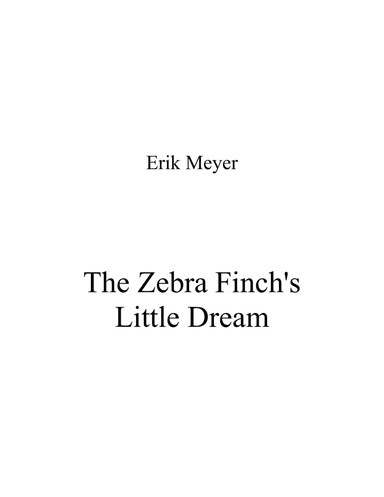 The Zebra Finch's Little Dream