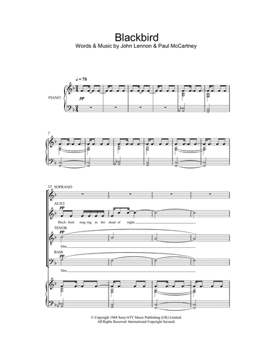 Blackbird