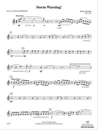 Storm Warning!: E-flat Alto Saxophone