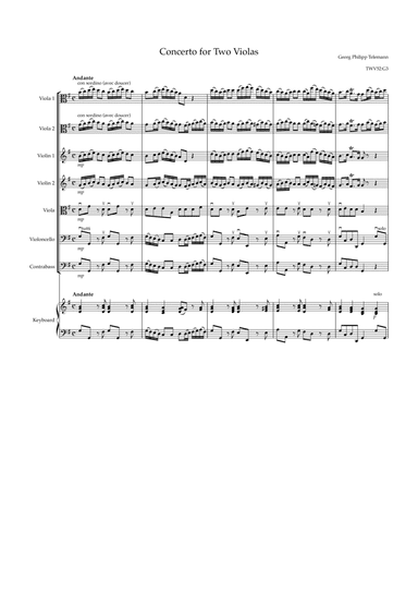 Concerto for two violas