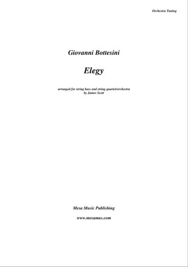 Elegy by Giovanni Bottesini (1821-1889) arranged for solo double bass in orchestra tuning and string