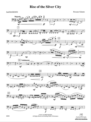 Rise of the Silver City: 2nd Bassoon