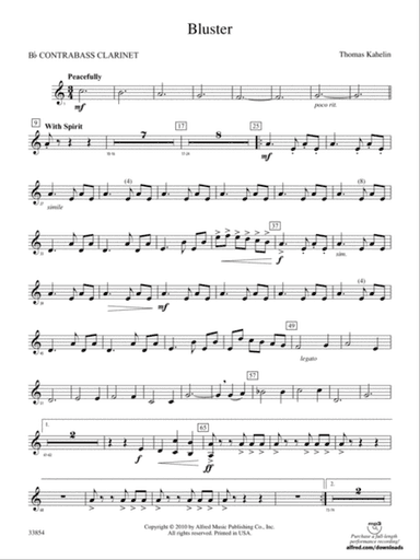 Bluster: (wp) B-flat Contrabass Clarinet