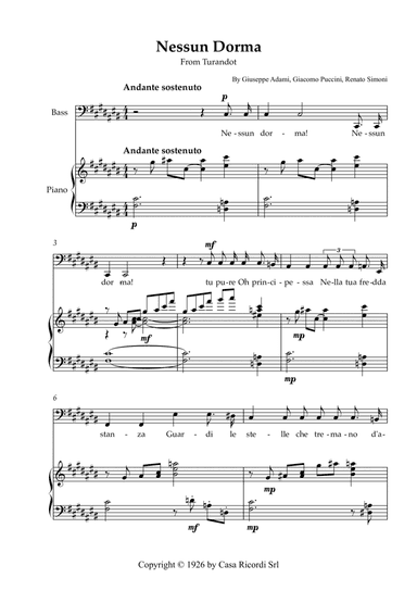 Nessun Dorma - Bass & Piano