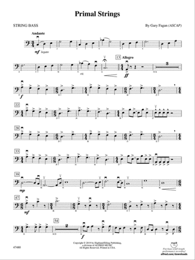 Primal Strings: String Bass