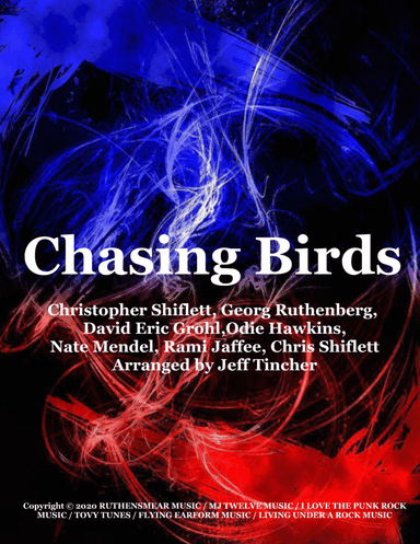 Chasing Birds
