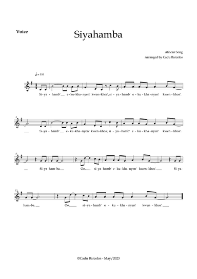 Siyahamba - Voice (African Song)