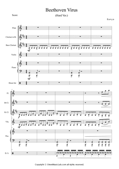 Beethoven Virus