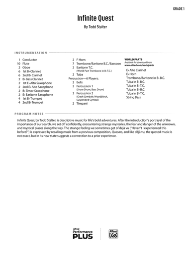 Infinite Quest: Score