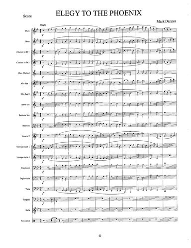 ELEGY TO THE PHOENIX