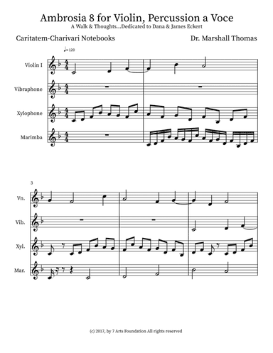 Ambrosia 8 for Violin, Percussion a Voce