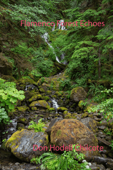 Flamenco Forest Echoes
