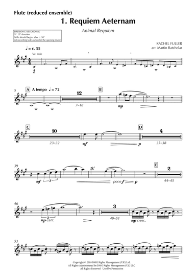 Animal Requiem - Flute