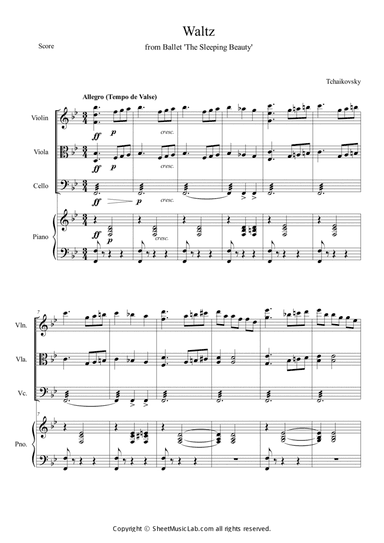 Waltz from Sleeping Beauty