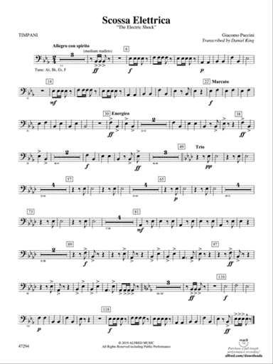 Scossa Elettrica: Timpani