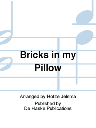 Bricks in my Pillow