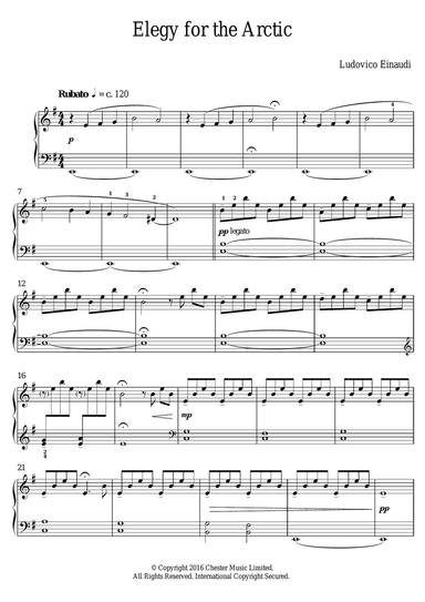 Elegy For The Arctic