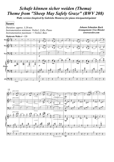 Sheep May Safely Graze / Schafe können sicher weiden BWV 208 (Theme)