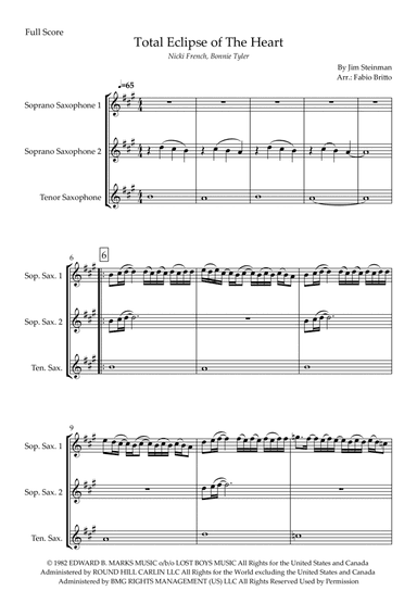 Total Eclipse Of The Heart