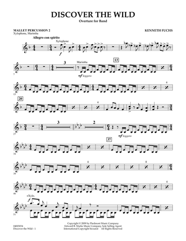 Discover The Wild - Mallet Percussion 2