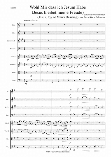 Wohl mir dass ich Jesum habe (Jesu joy of man's desiring) for wind quartet and strings