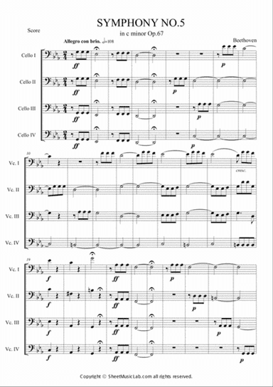 Symphony No.5 Op.67 Hard Version