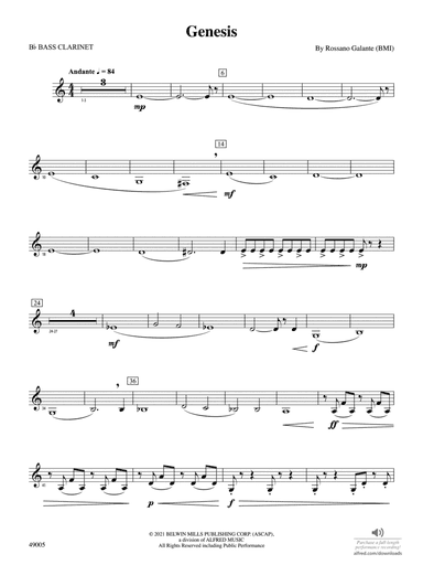Genesis: B-flat Bass Clarinet