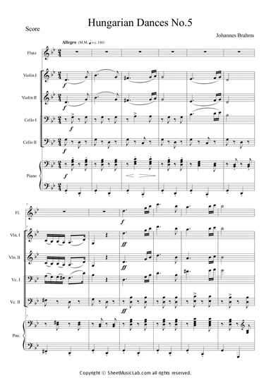 Hungarian Dances No.5