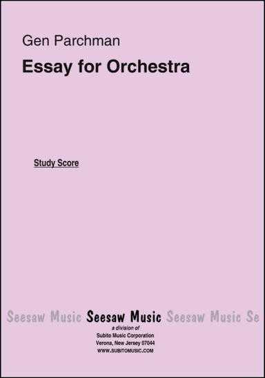 Essay
