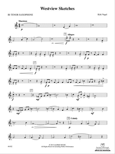Westview Sketches: B-flat Tenor Saxophone