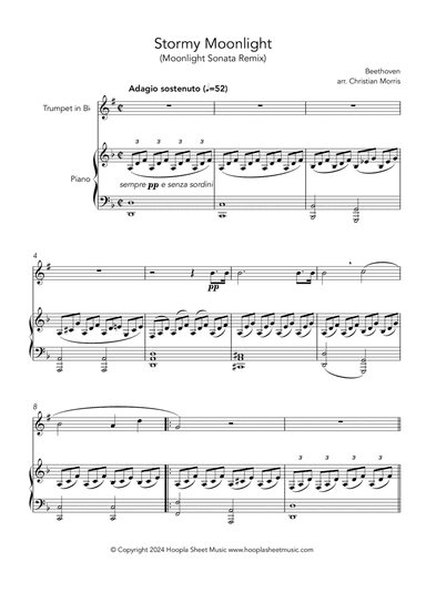 Stormy Moonlight (Moonlight Sonata Remix)