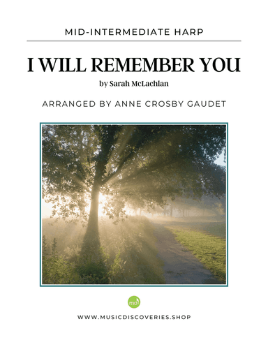 I Will Remember You