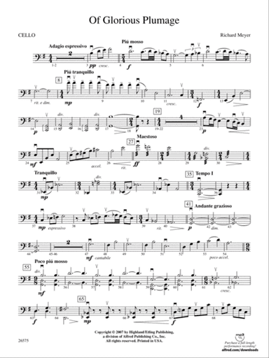 Of Glorious Plumage: Cello