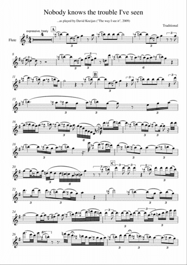 Nobody knows the trouble I've seen (flute)