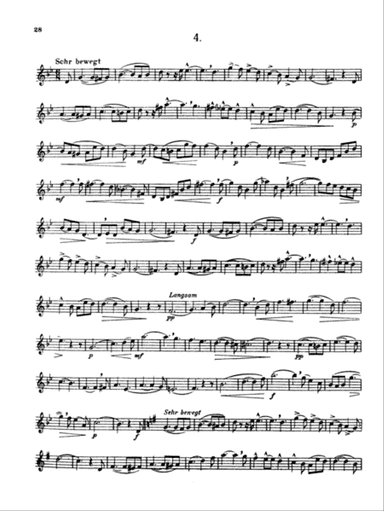 Franz: Etudes and Concert Etudes