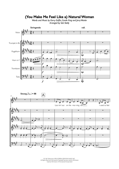 (You Make Me Feel Like) A Natural Woman