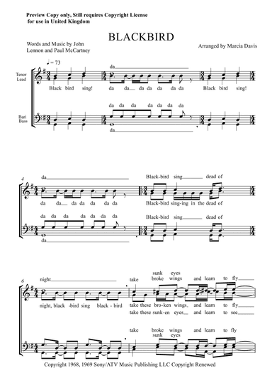 Blackbird