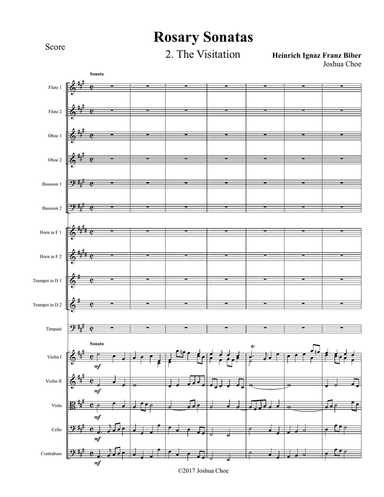 Rosary Sonatas: The Visitation